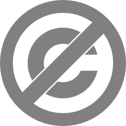 Download free license domain public icon